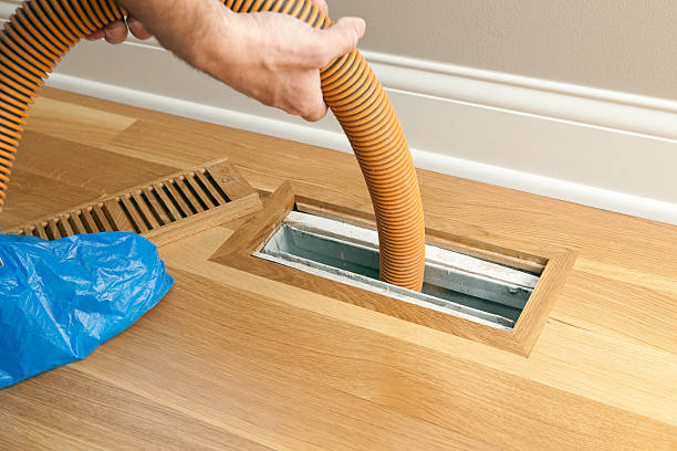 Best Home Air Vent Cleaning  in Harlem Heights, FL