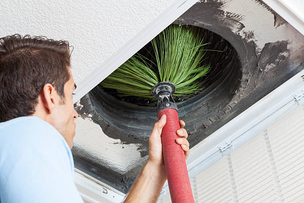 Best Air Vent Cleaning Services  in Harlem Heights, FL